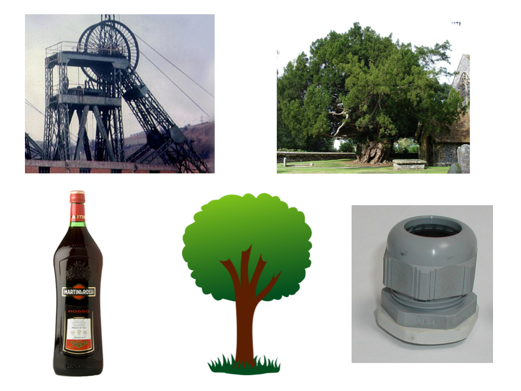 quiz-picture-taxonomy