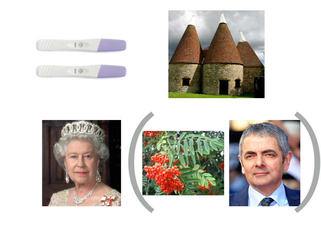 quiz-picture-taxonomy