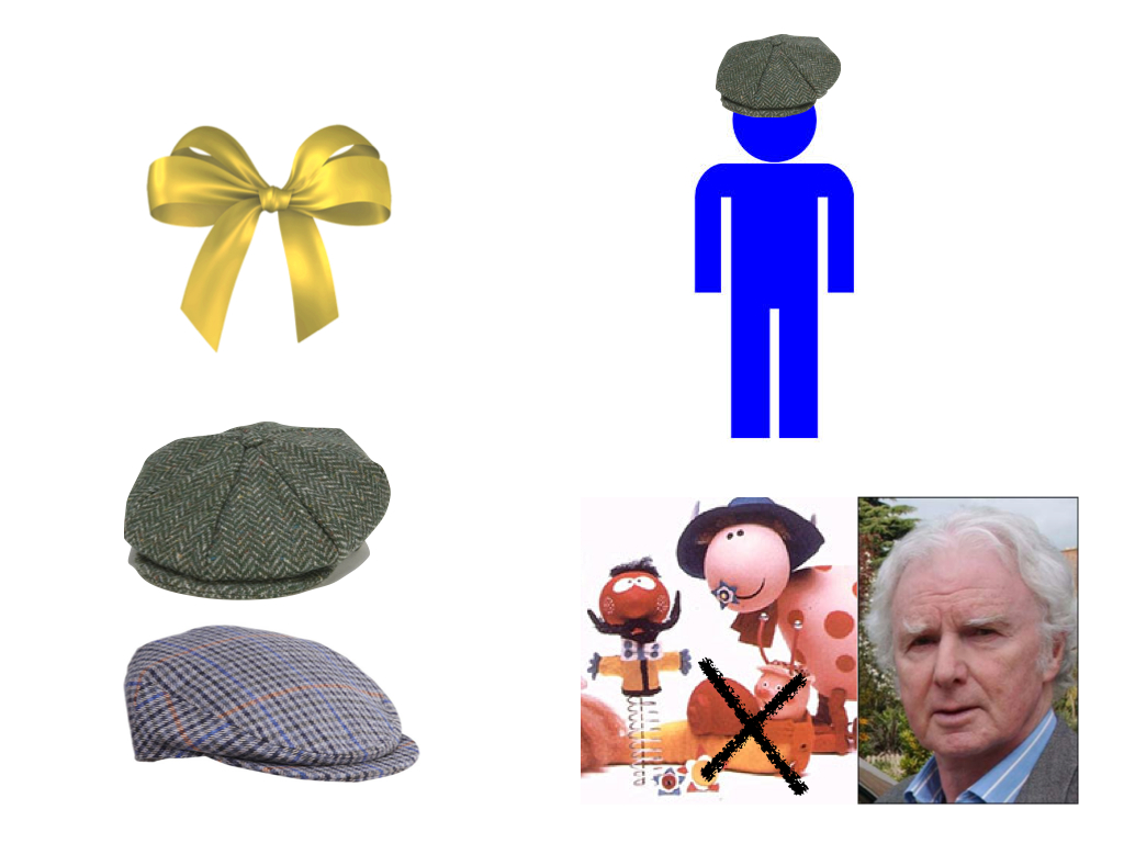 quiz-picture-taxonomy