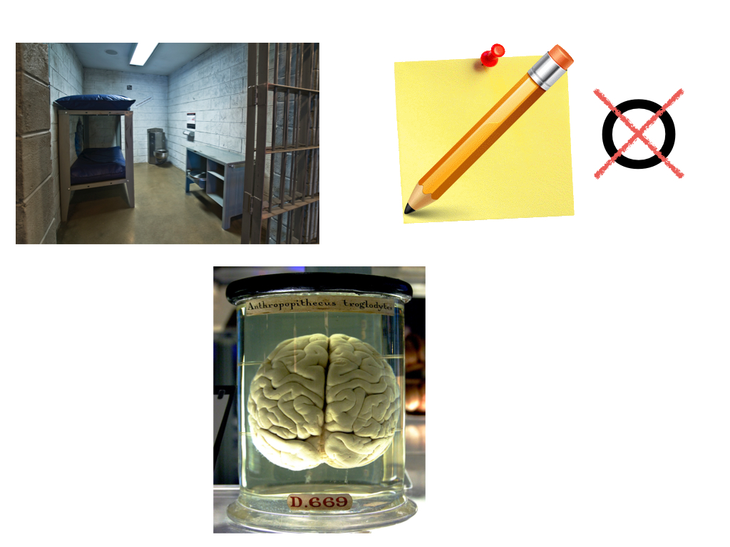 quiz-picture-taxonomy