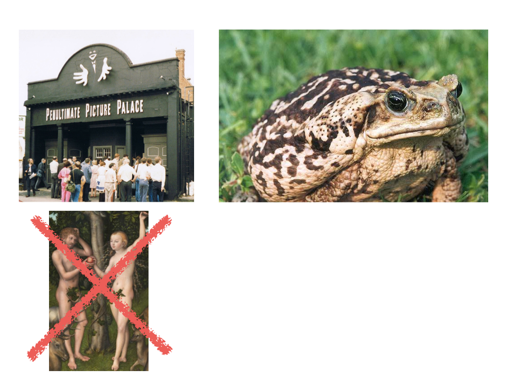 quiz-picture-taxonomy