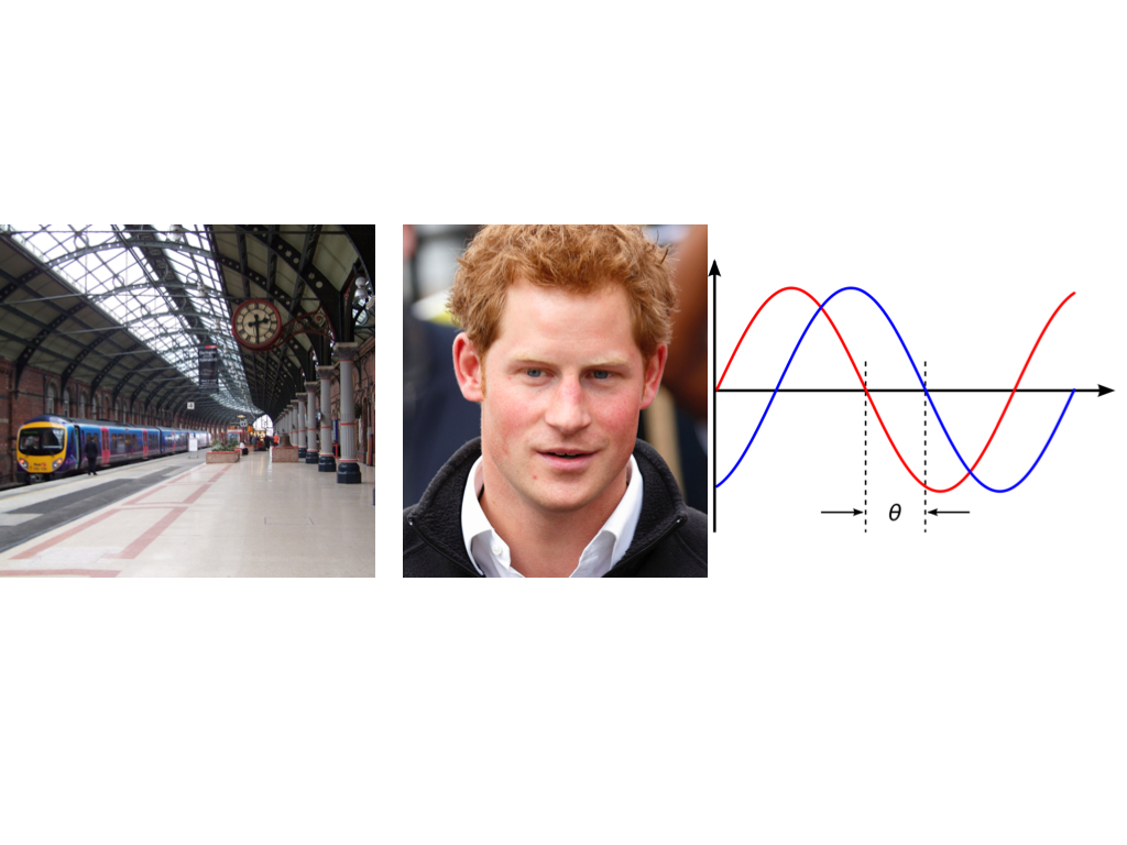 quiz-picture-taxonomy